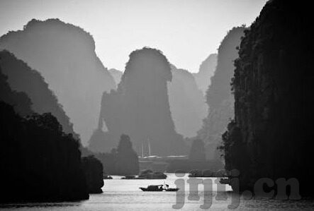 91 麻豆-91麻豆，解析网络流行语的背后与时代变迁