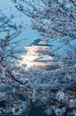 av日韩一区在线-日韩AV一区在线，文化差异与网络现象的探讨