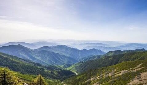 白晶晶果冻传媒第三部-探索白晶晶果冻传媒第三部的独特魅力与创意革新