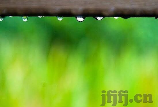 何苗果冻传媒图片-探索何苗果冻传媒图片的魅力与影响