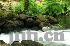 天美传媒麻豆免费-色情内容对社会有害，应远离其源头——天美传媒麻豆免费及其它类似平台